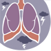 COPD – eine chronische Verengung der Bronchien